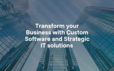 Transform your business with custom software and strategic IT solutions 